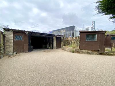 Picture 29